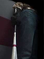Bat 2.png